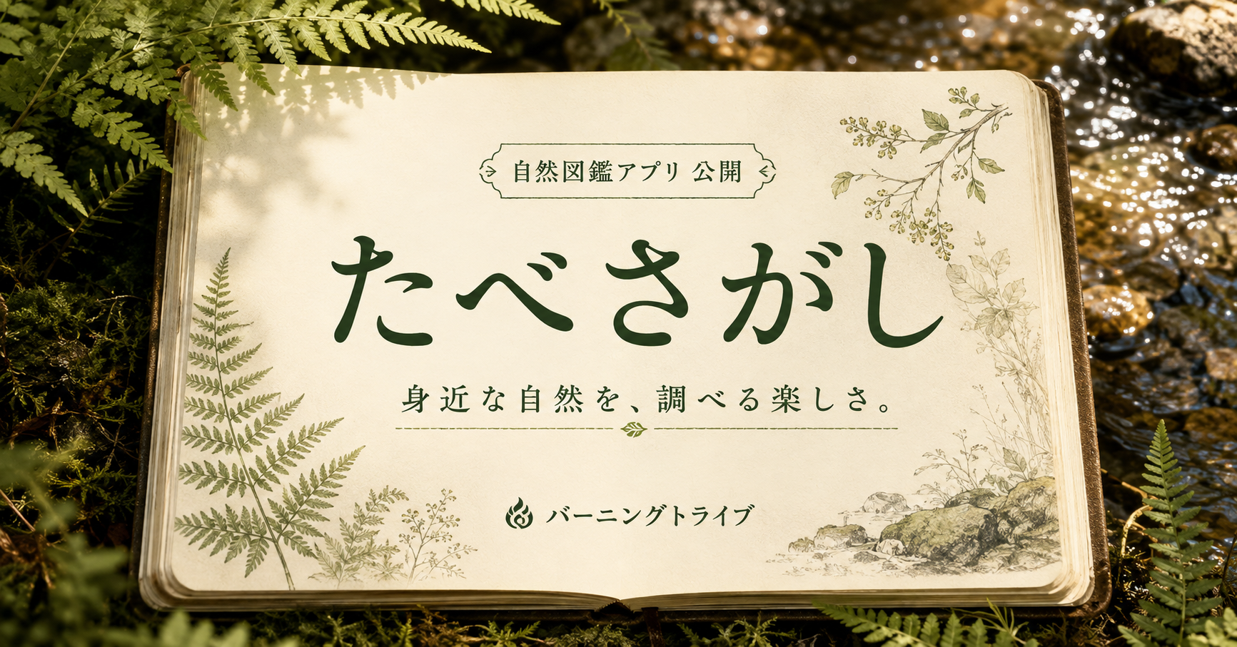 たべさがし。身近な自然を、調べる楽しさ。自然図鑑アプリ公開。バーニングトライブ。